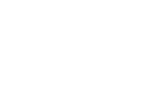 NIC Logo